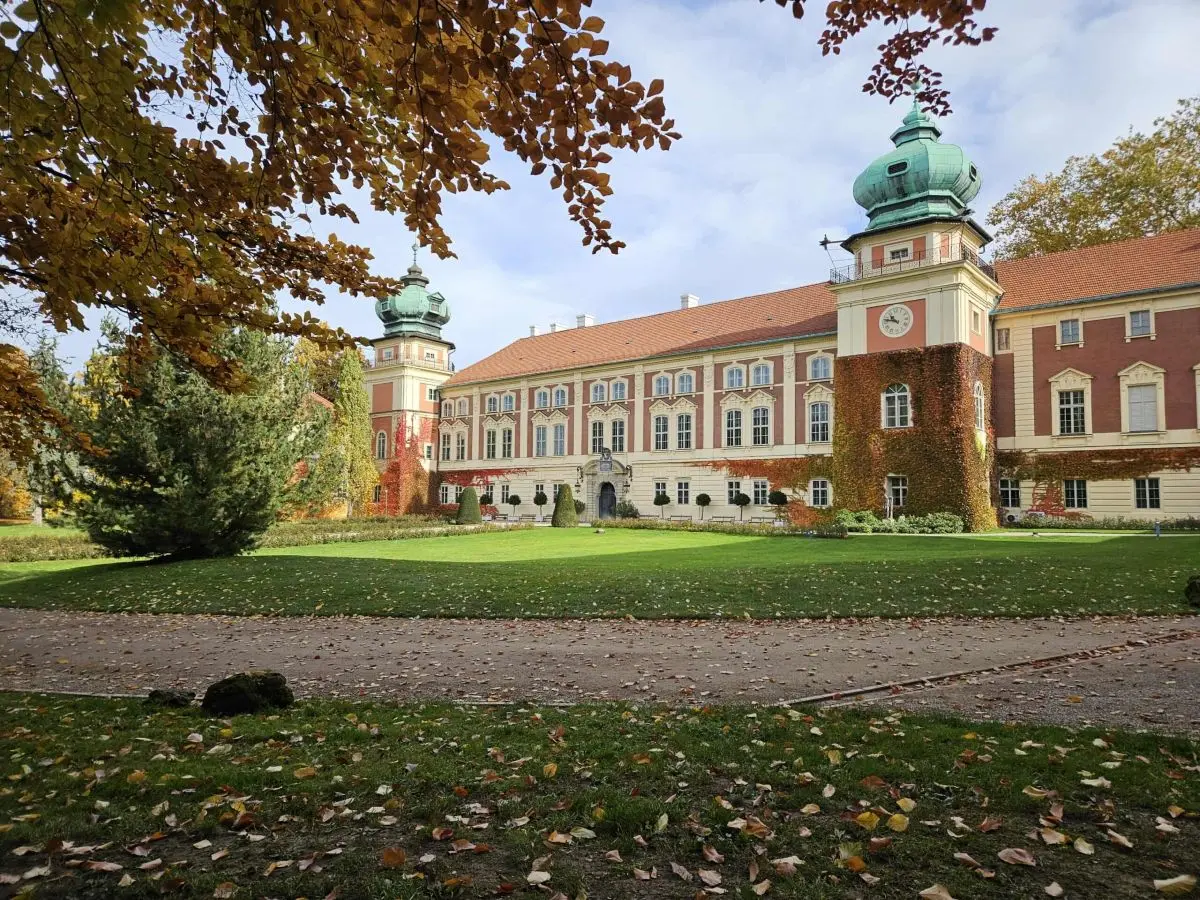 Fot. Joanna Garbulińska-Charchut / Muzeum — Zamek w Łańcucie