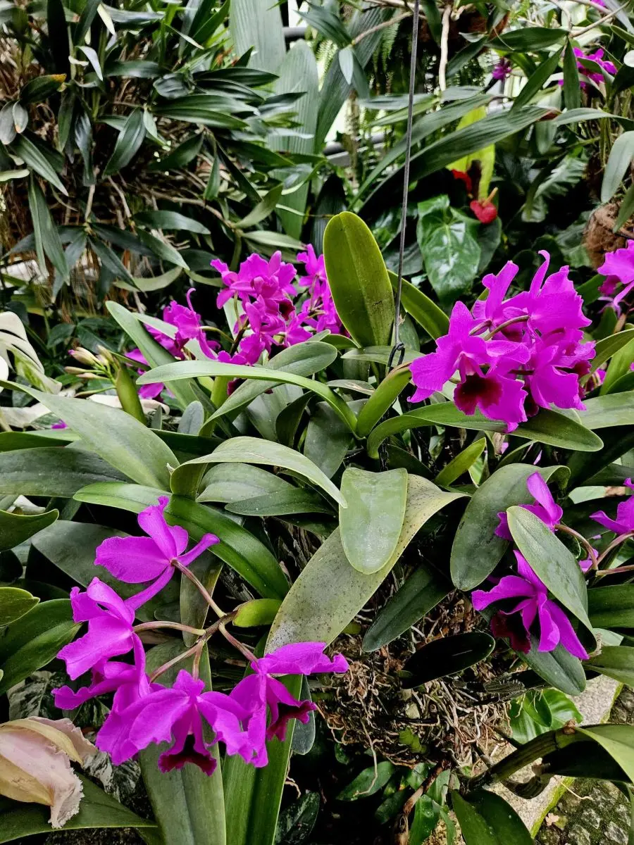 Fot. Materiały prasowe