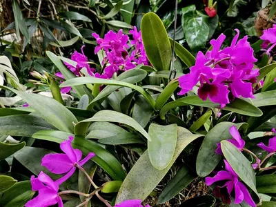 Fot. Materiały prasowe