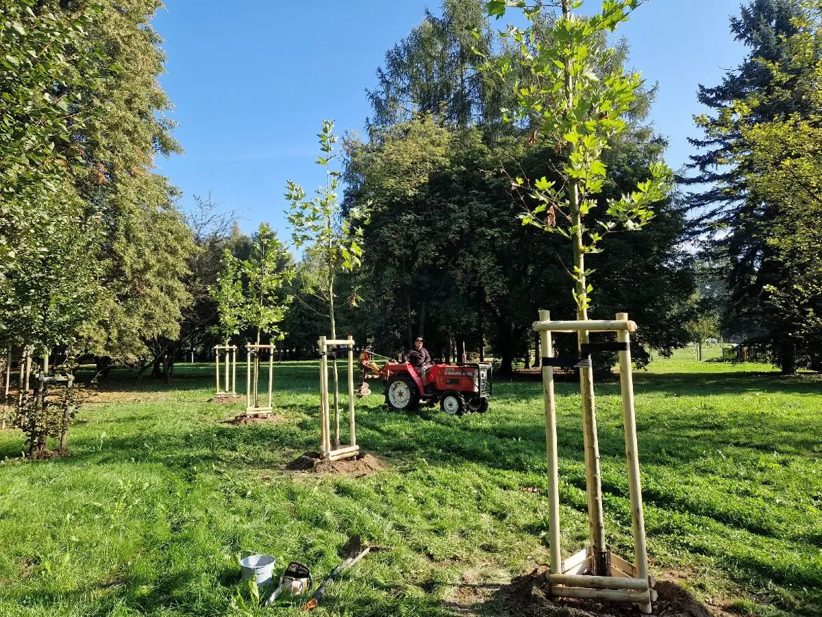 Fot. Zarząd Zieleni Miejskiej w Rzeszowie