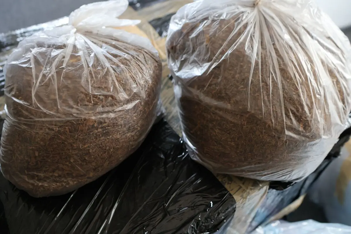 Fot. Komenda Miejska Policji w Rzeszowie