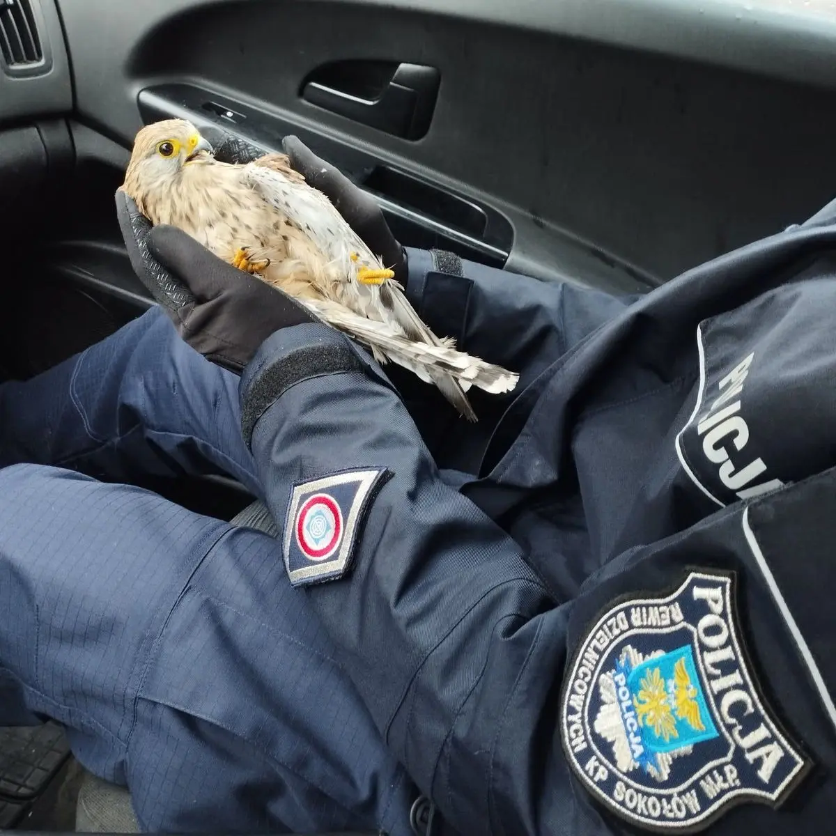 Fot. Komenda Miejska Policji w Rzeszowie