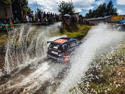 Fot. Maciej Niechwiadowicz / materiały prasowe