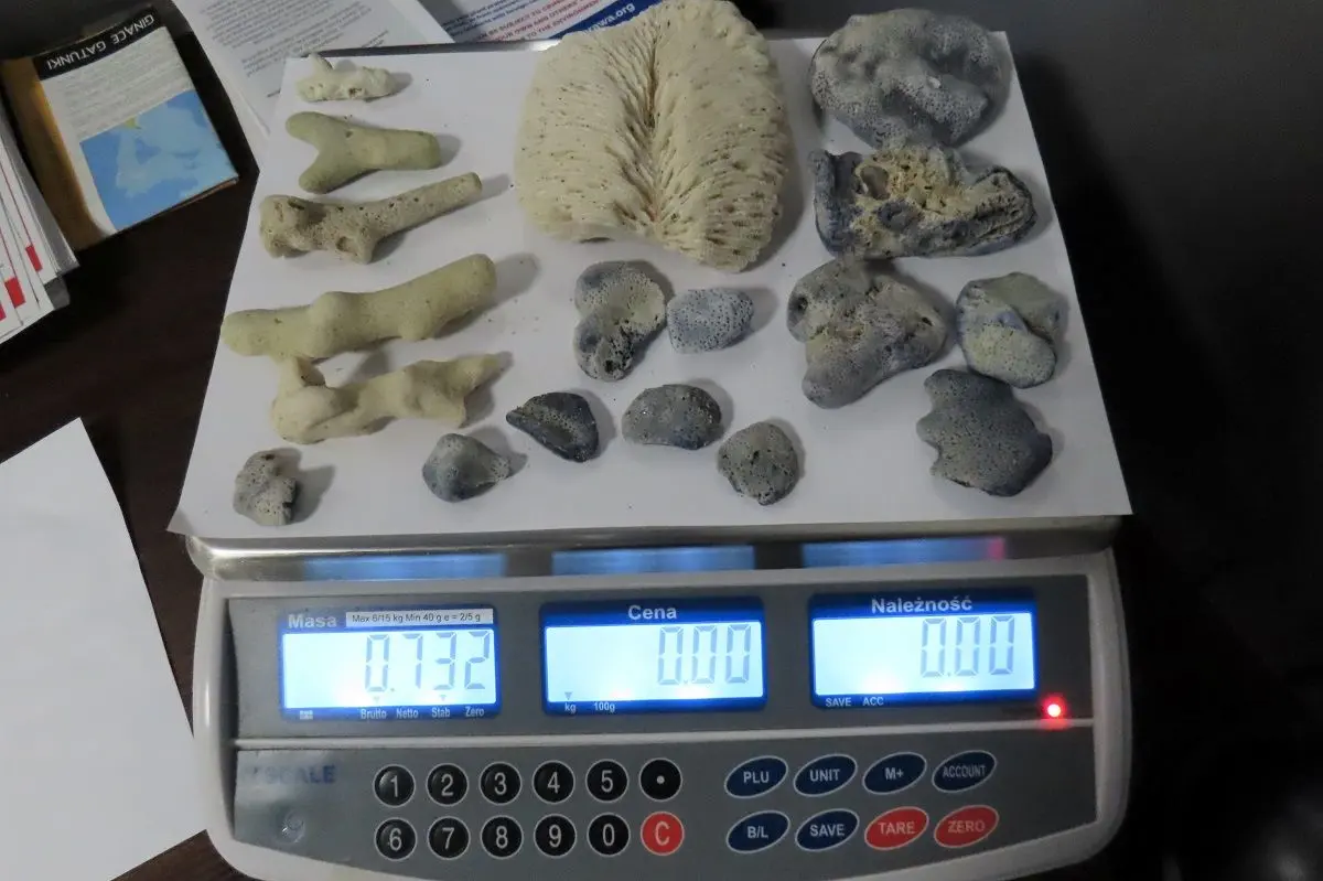 Fot. Podkarpacka KAS