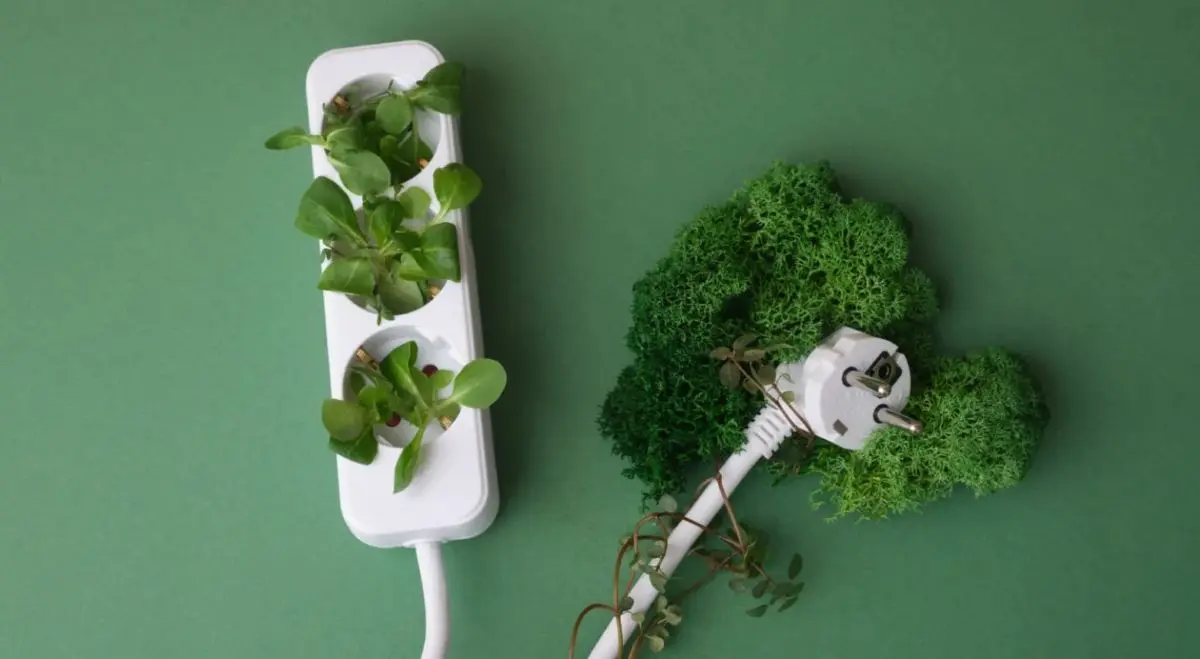 Fot. Materiały organizatorów