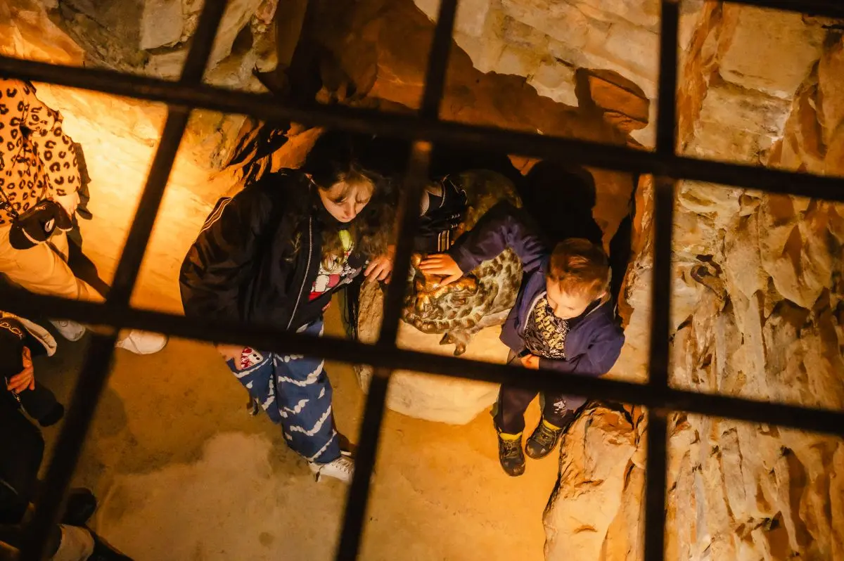 Fot. Facebook.com / Rzeszowskie Piwnice