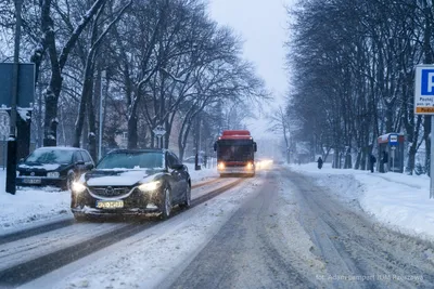 Fot. Adam Lampart / Urząd Miasta Rzeszów