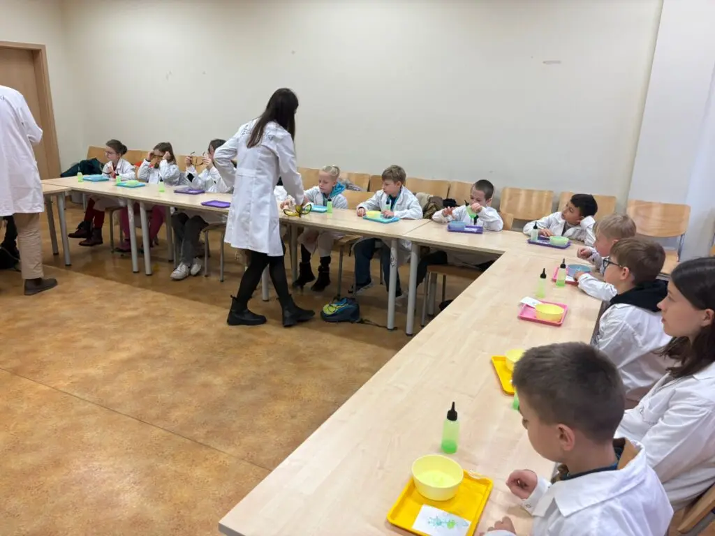 Fot. Materiały organizatorów