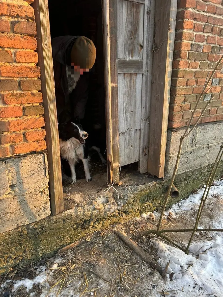 Fot. Komenda Miejska Policji w Rzeszowie
