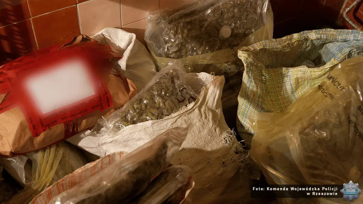 Fot. Komenda Wojewódzka Policji w Rzeszowie