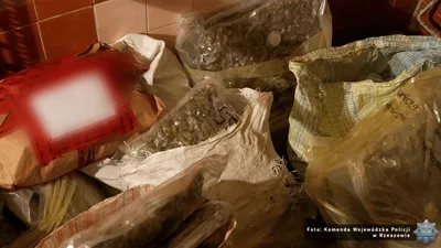 Fot. Komenda Wojewódzka Policji w Rzeszowie