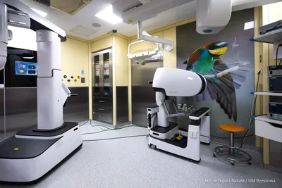 Fot. Grzegorz Bukała / Urząd Miasta Rzeszów