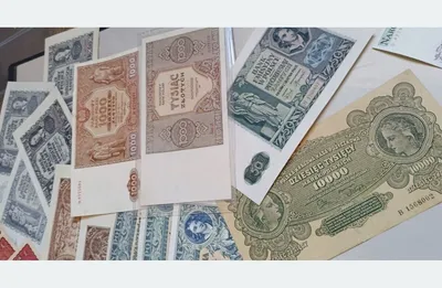 Fot. Komenda Miejska Policji w Rzeszowie