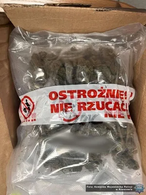 Fot. Komenda Wojewódzka Policji w Rzeszowie