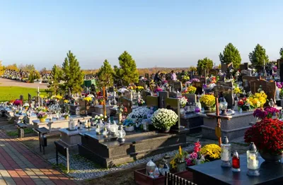 Fot. Adam Lampart / Urząd Miasta Rzeszów