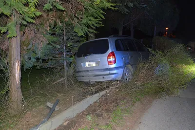 Fot. Komenda Miejska Policji w Rzeszowie