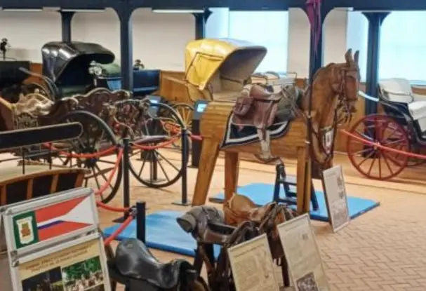 Fot. Materiały organizatorów